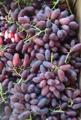 Изюминка Урожайная