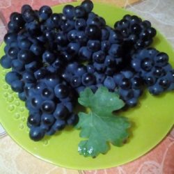 Виноград Макси
