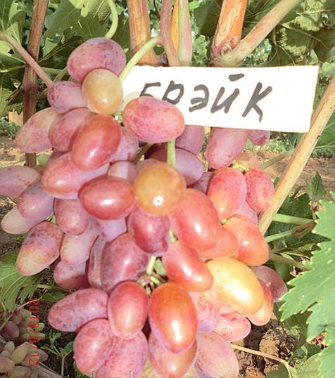 Виноград Брейк